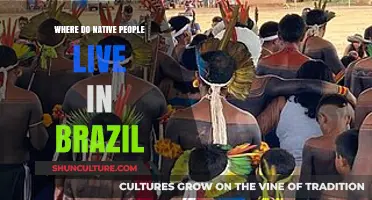 Exploring Brazil's Indigenous Communities: Where Native Peoples Call Home