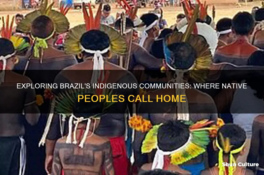 where do native people live in brazil