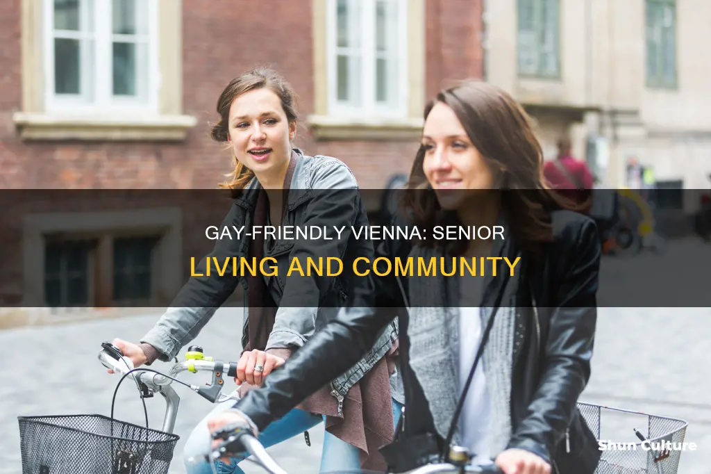 where do older gay men live in vienna austria