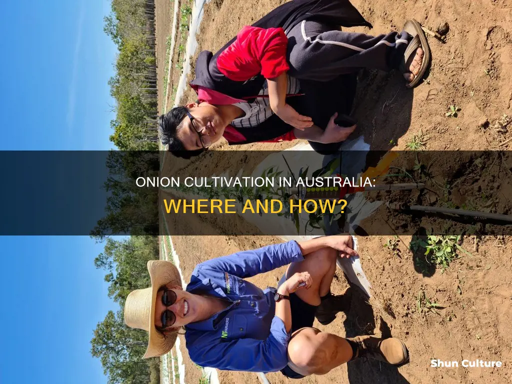 where do onions grow in australia
