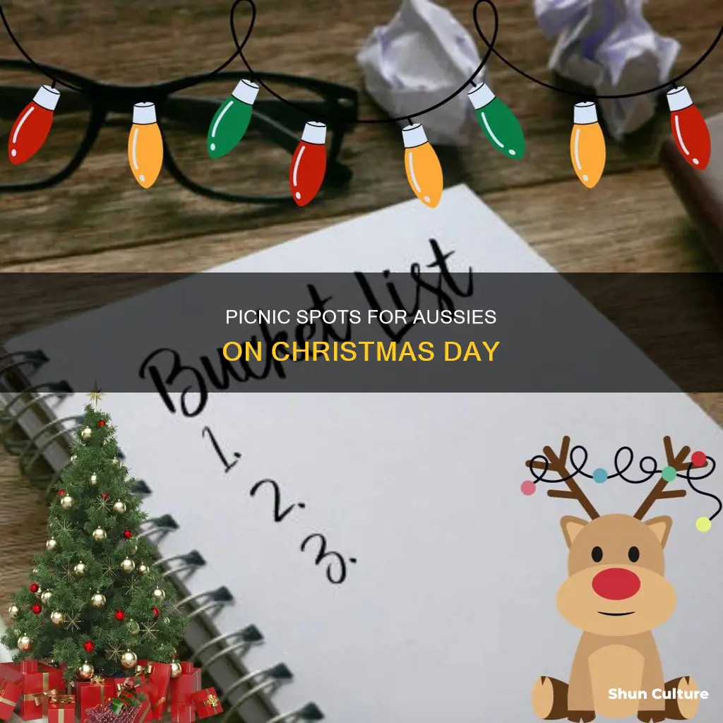 where do people in australia have a pinic on christmas