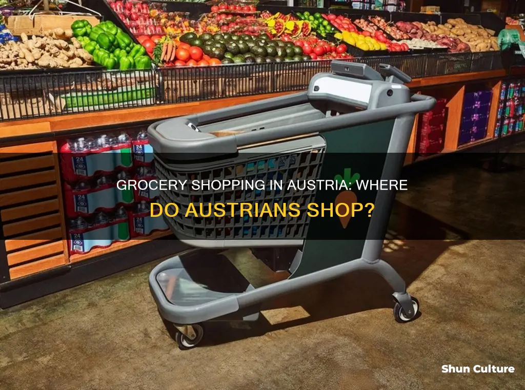 where do people shop for groceries in austria