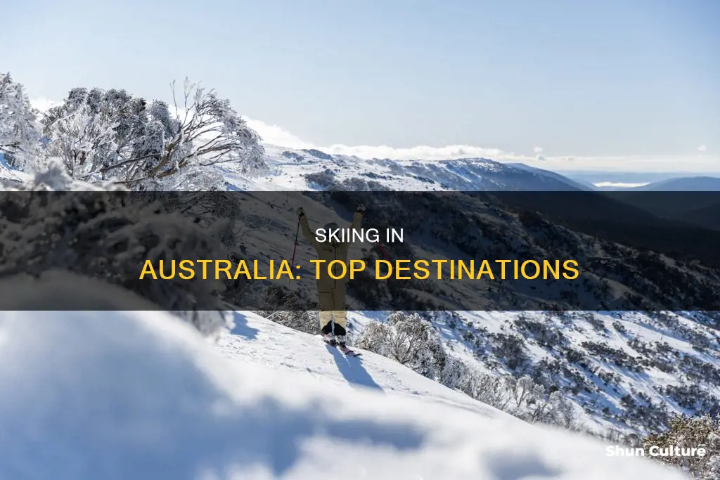 where do people ski in australia