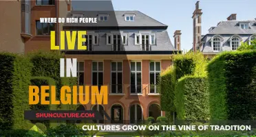 Exploring Belgium's Affluent Neighborhoods: A Guide to Luxury Living
