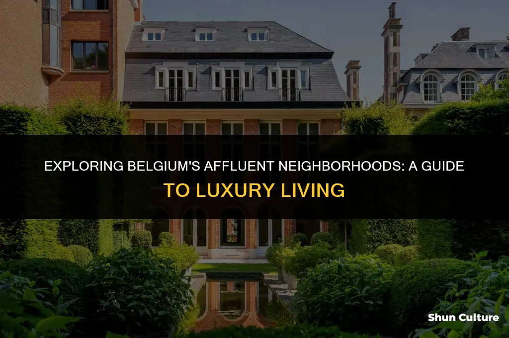 where do rich people live in belgium