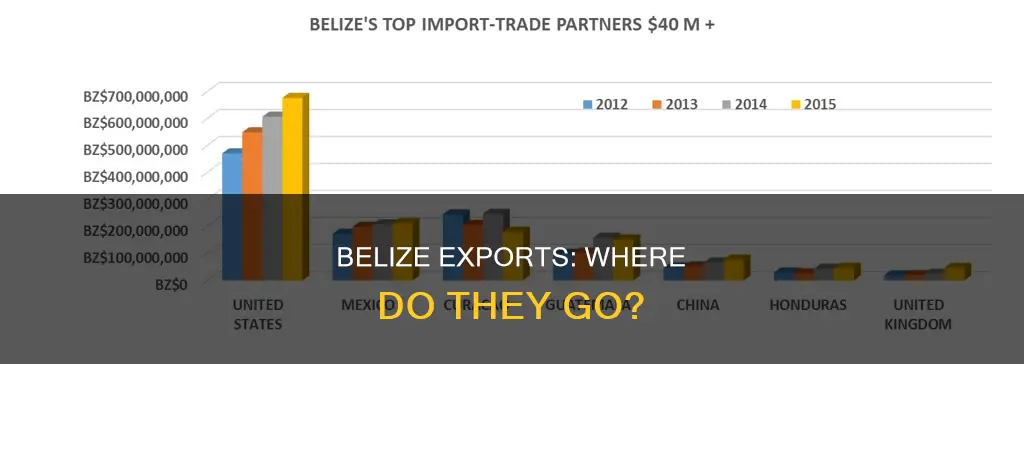 where do the belize exports go