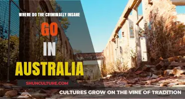 Understanding Australia's Secure Facilities for the Criminally Insane