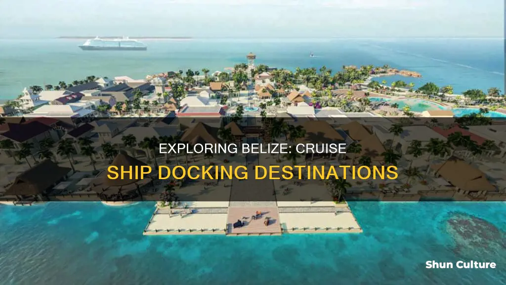 where do the cruise ships dock in belize