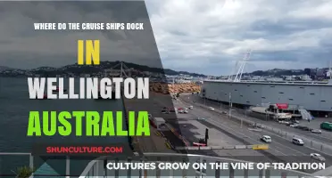 Exploring Wellington: Cruise Ship Docking Destinations