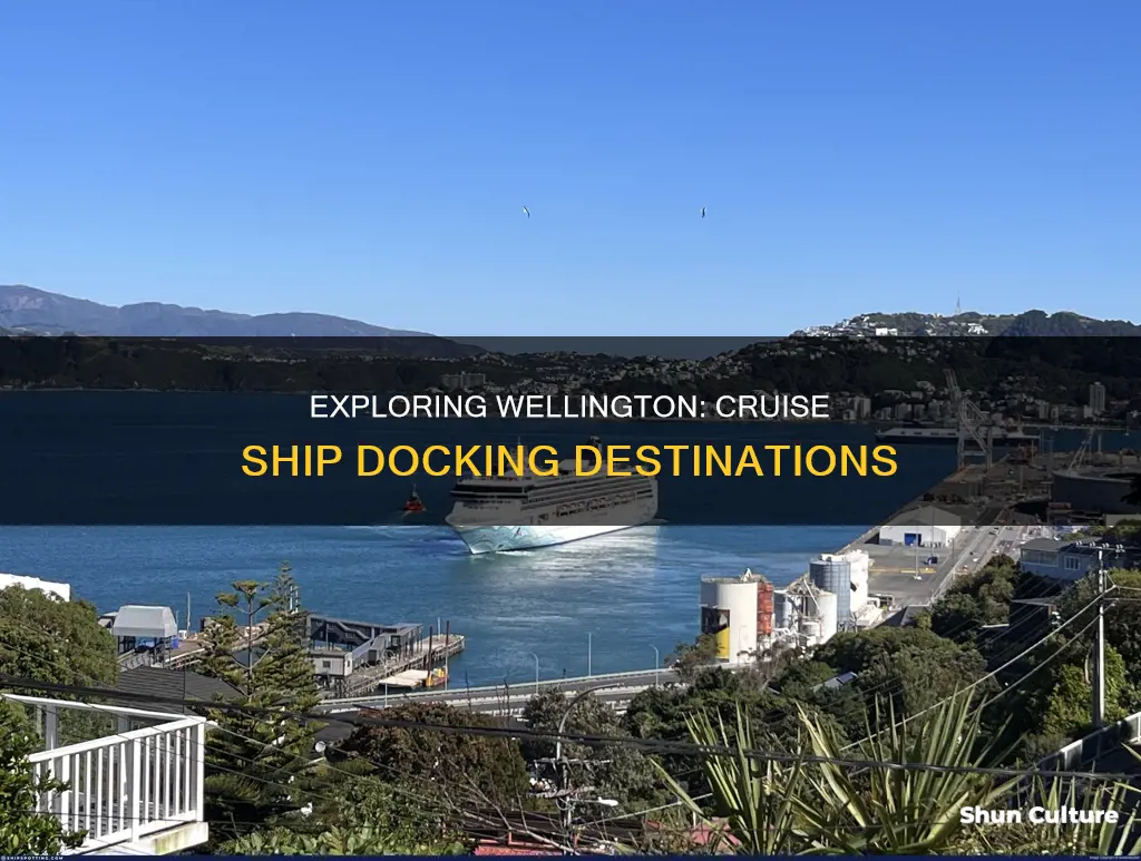 where do the cruise ships dock in wellington australia