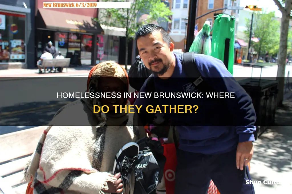 where do the homeless in new brunswick hang out