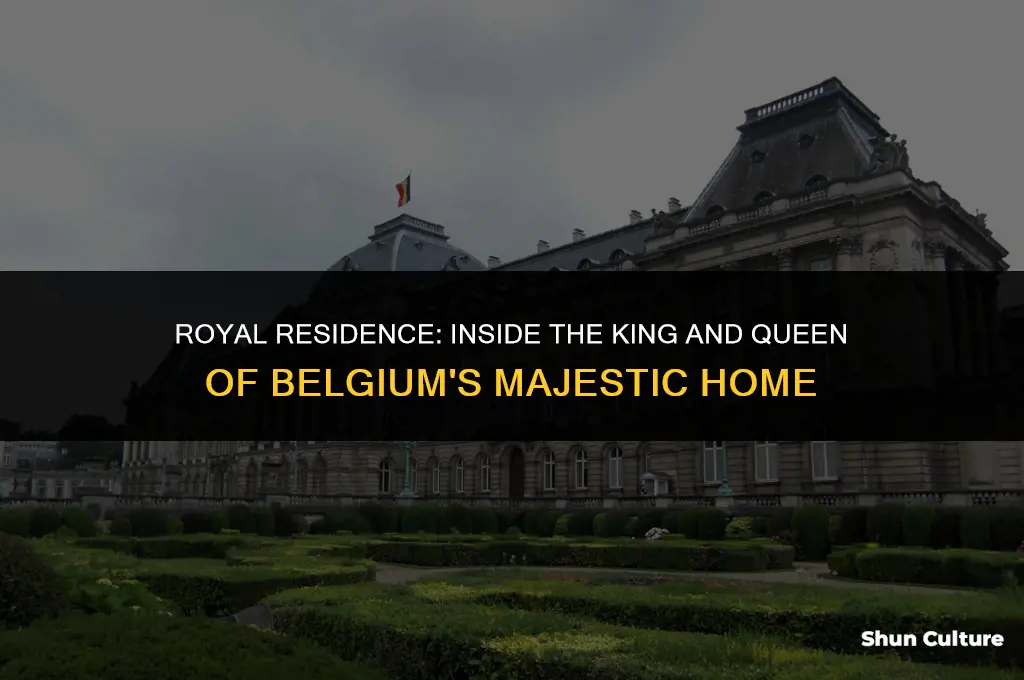 where do the king and queen of belgium live