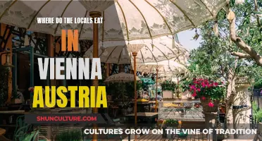 Tasty Vienna: Local Delights and Hidden Gems