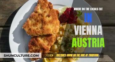 Viennese Secrets: Where Locals Eat