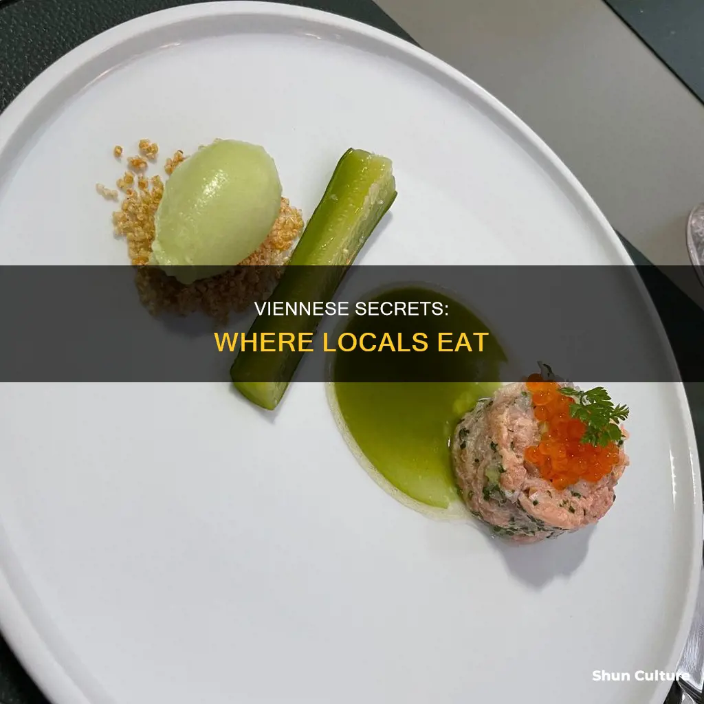 where do the locals eat in vienna austria