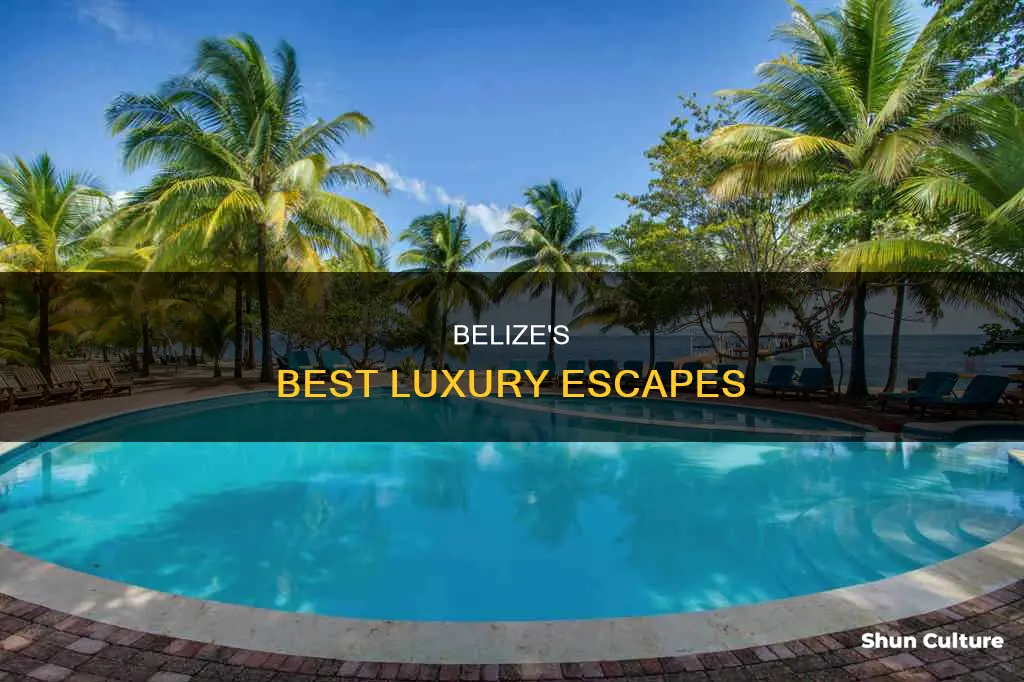 where do the rich stay in belize