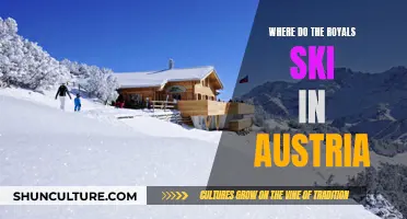 Royal Ski Resort: Austria's Majestic Winter Escape