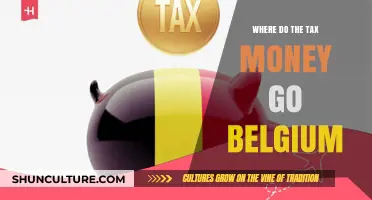 Unveiling Belgium's Budget: A Citizen's Guide to Tax Allocation