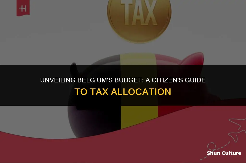 where do the tax money go belgium