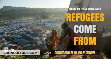 Origins of Bangladesh Refugees: Tracing Their Journeys and Homelands