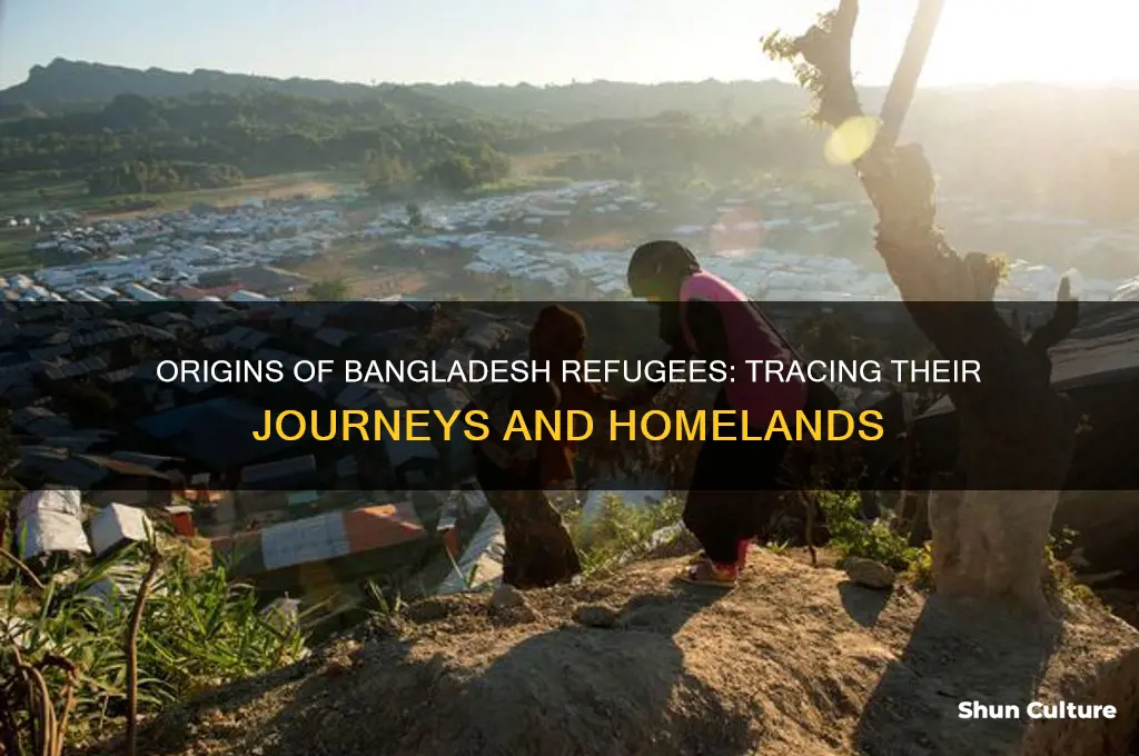 where do these bangladesh refugees come from