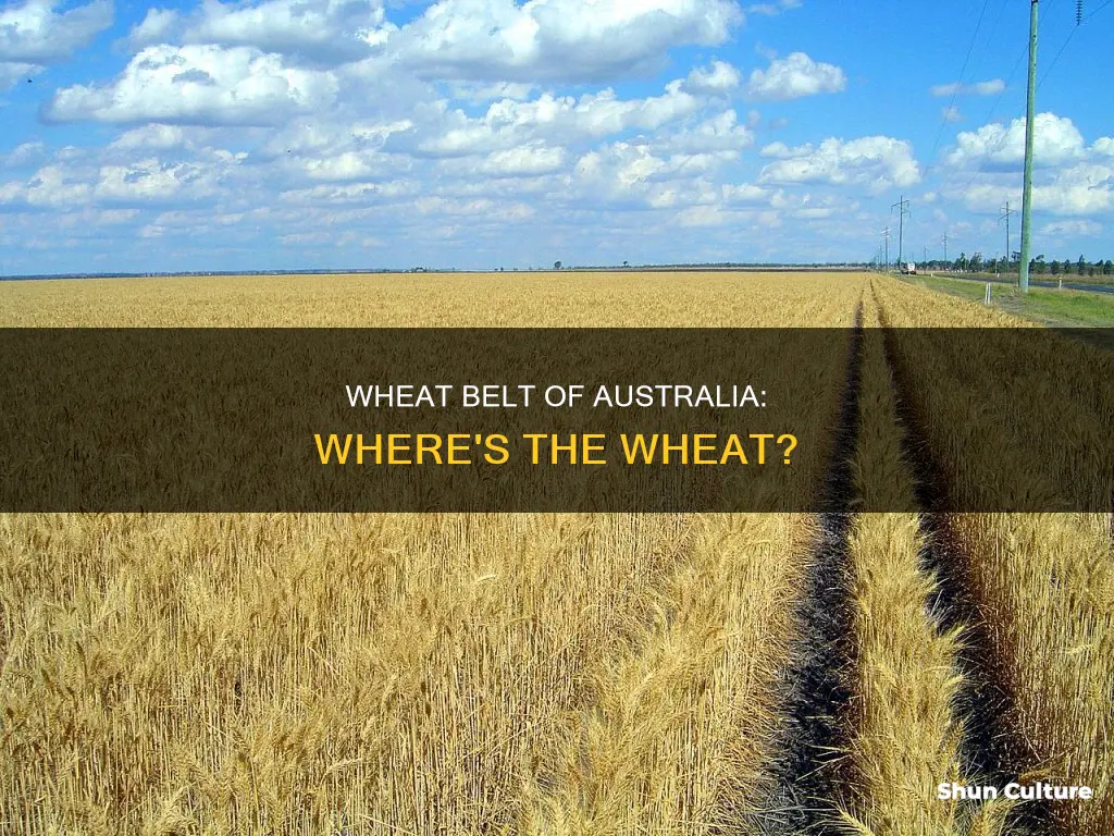 where do they grow wheat in australia