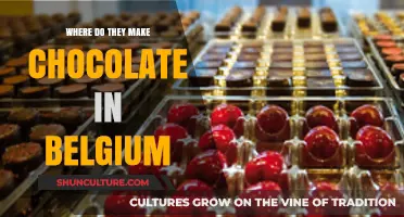 Discovering Belgium's Chocolate Havens: A Journey Through Sweet Traditions