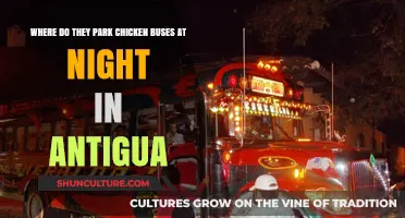 Where Do Antigua's Chicken Buses Rest at Night?