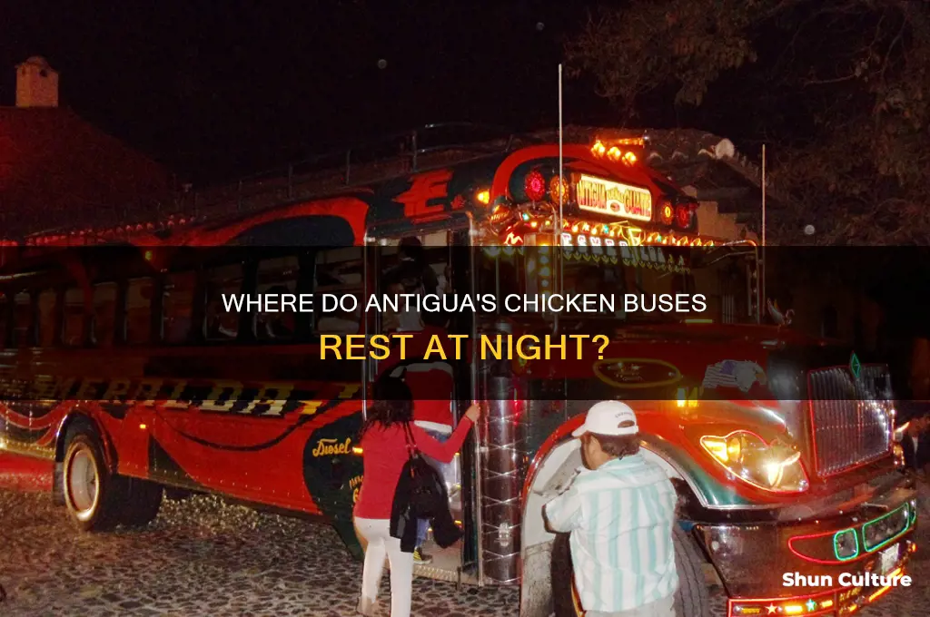 where do they park chicken buses at night in antigua