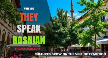 Where Bosnian is Spoken: Exploring the Regions and Communities