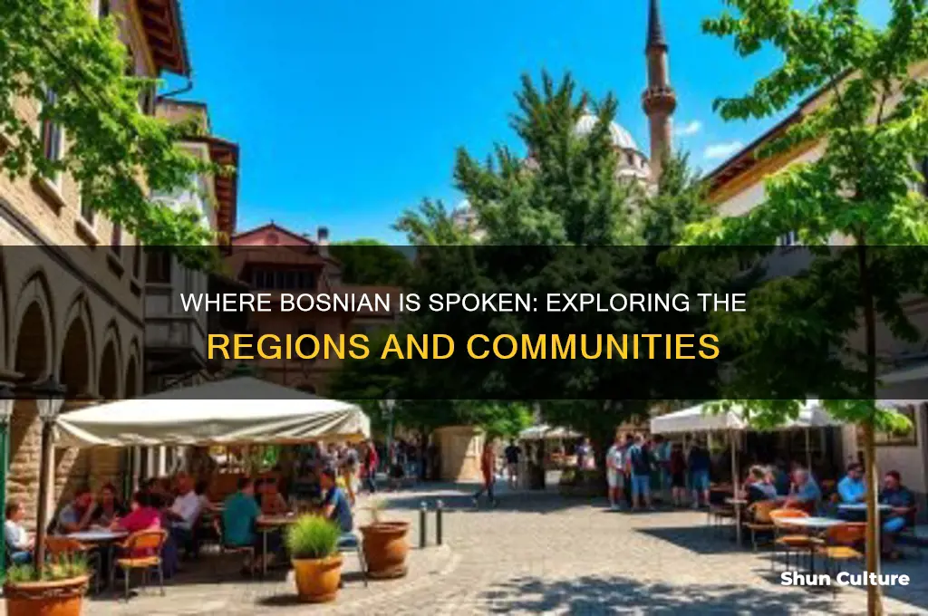 where do they speak bosnian