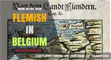 Exploring Belgium: Where Flemish Thrives and Cultures Unite