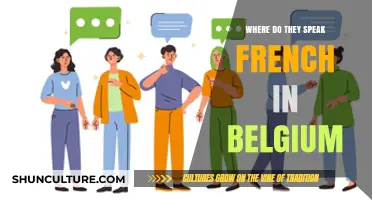 Exploring Belgium's French-Speaking Regions: A Linguistic Journey