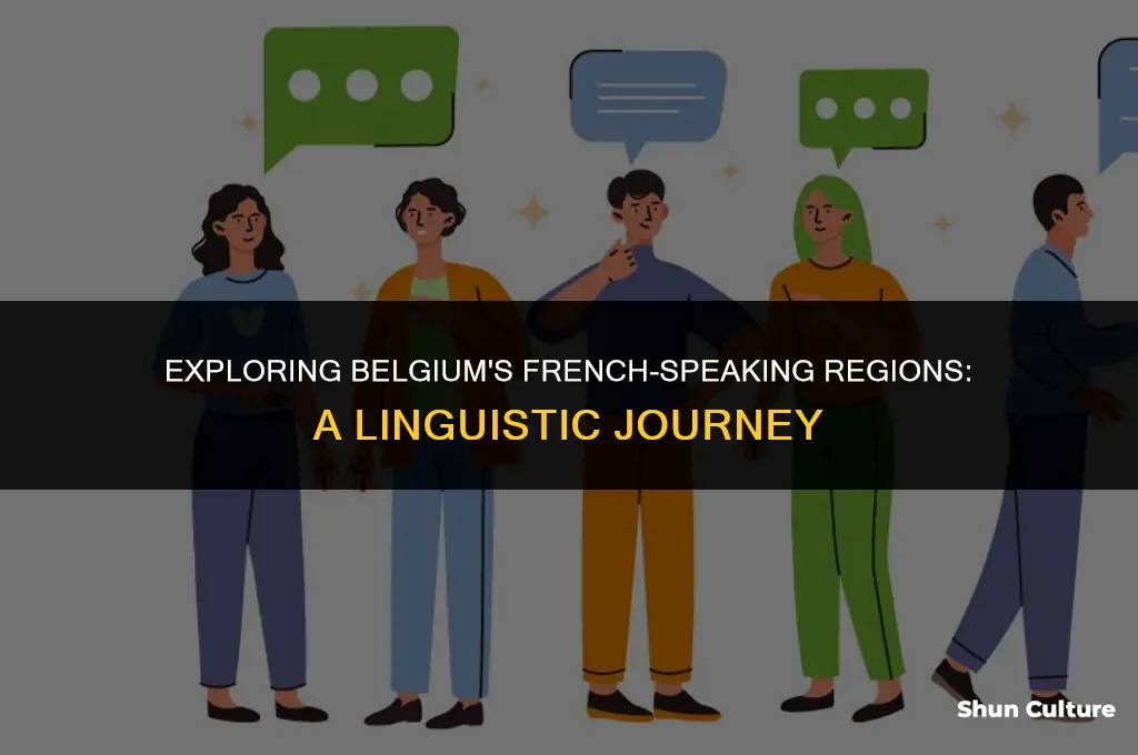 where do they speak french in belgium