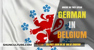 Exploring Belgium's German-Speaking Regions: A Linguistic Journey
