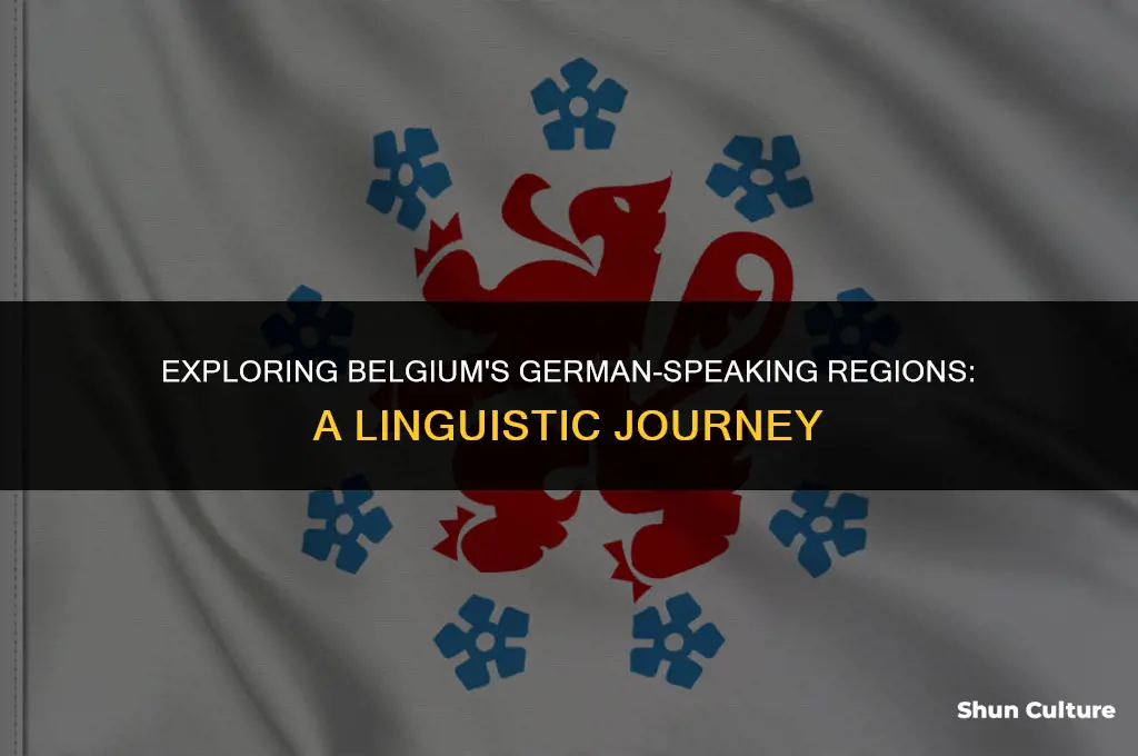 where do they speak german in belgium