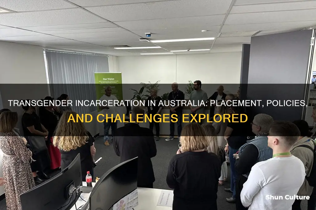 where do transgenders go in jail australia