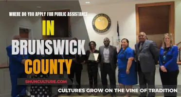Public Assistance: Brunswick County Application Guide