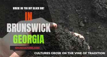 Black Dirt Buying in Brunswick, Georgia