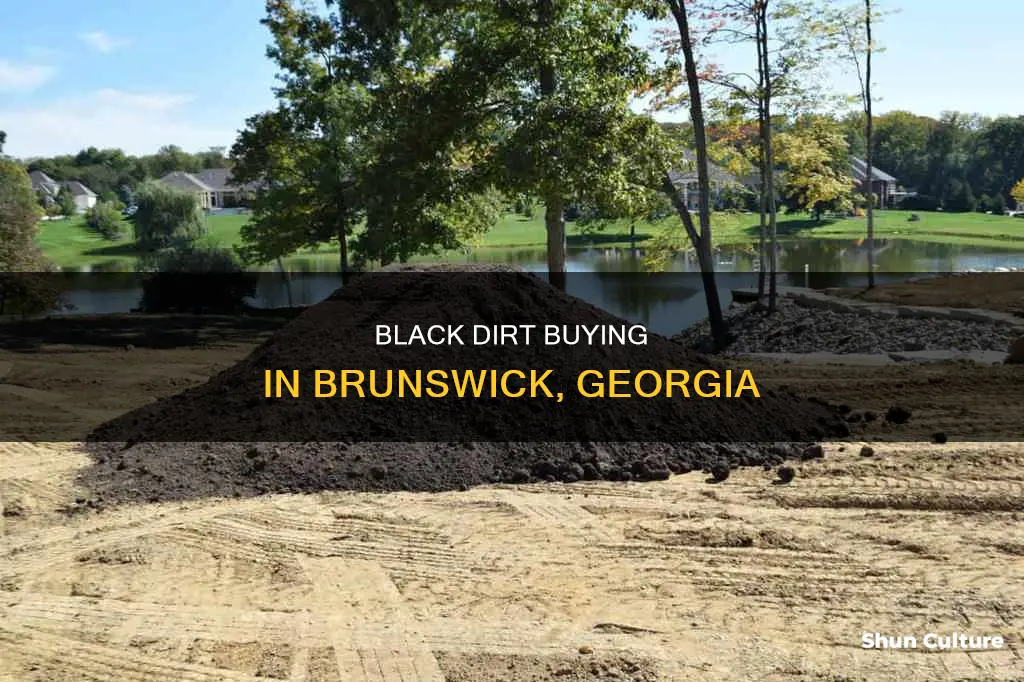 where do you buy black dirt in brunswick georgia