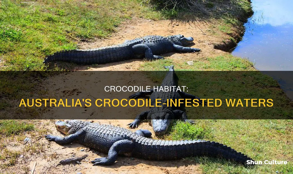 where do you find crocodiles in australia