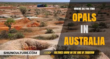 Opal Discovery in Australia: Where to Find Them