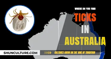 Finding Ticks in Australia: Key Locations to Watch Out For