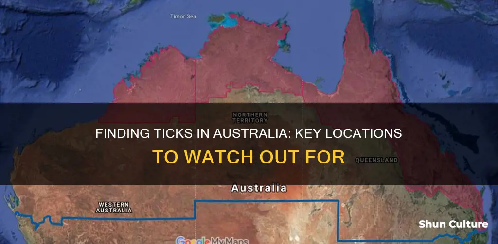 where do you find ticks in australia