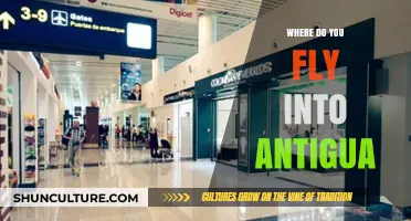 Your Ultimate Guide to Flying into Antigua's V.C. Bird Airport
