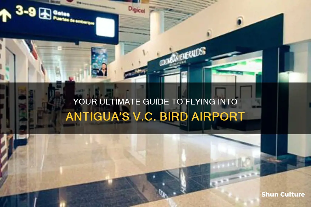 where do you fly into antigua
