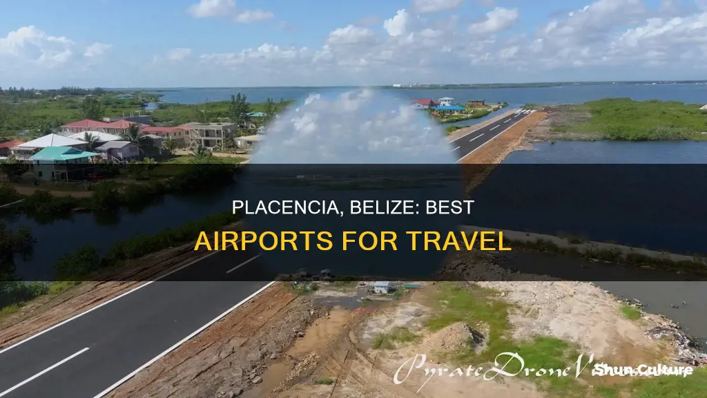 where do you fly into if staying in placencia belize