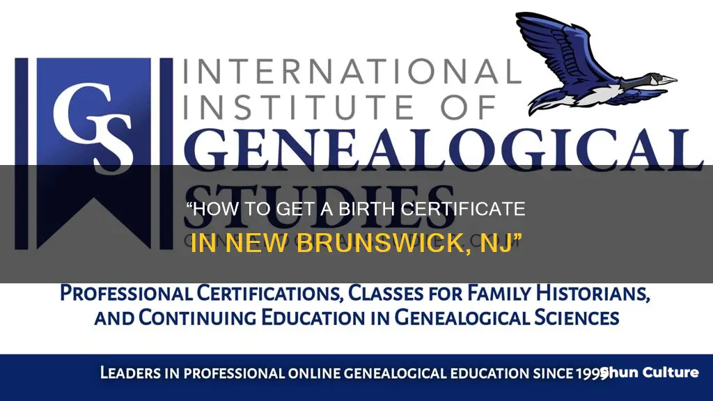 where do you get birth certificate in new brunswick nj