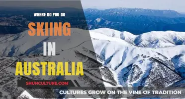 Top Australian Ski Resorts: Where to Hit the Slopes Down Under