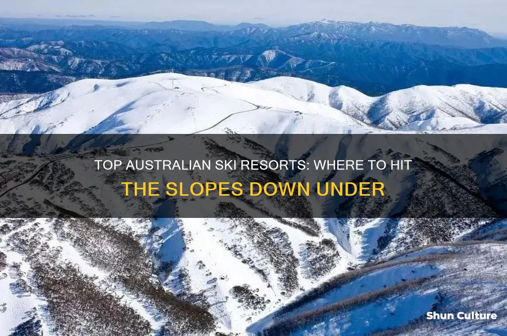 where do you go skiing in australia